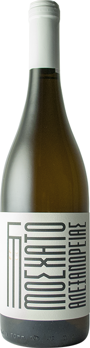 Muscat D'Alexandrie Nature 2023 - Oenos Nature