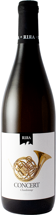 5 + 1 Concert 2022 - Αμπελώνες Rira