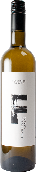 F by Foivos 2025 - Foivos Papastratis