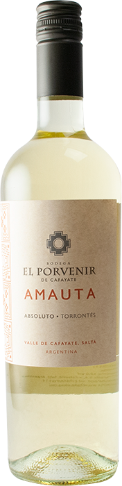 5 + 1 Amauta Torrontes 2025 - Bodega El Porvenir de Cafayate