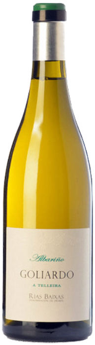 Golliardo A Telleira 2024 - Forjas del Salnés