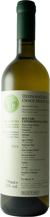 Experimental Malagouzia 2019 - Matsa Estate