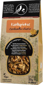 Dehydrated Chanterelle 25g