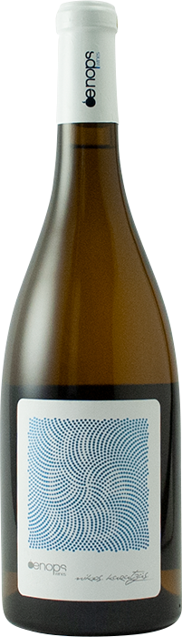 Vidiano 2021 - Oenops