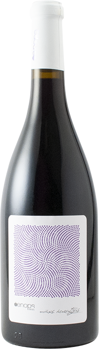 Xinomavro 2020 - Oenops Wines