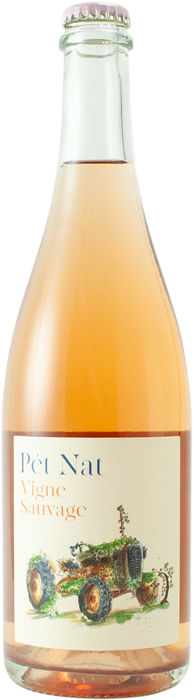 Vigne Sauvage Rose Pet Nat 2023 - Pierre & Antonin