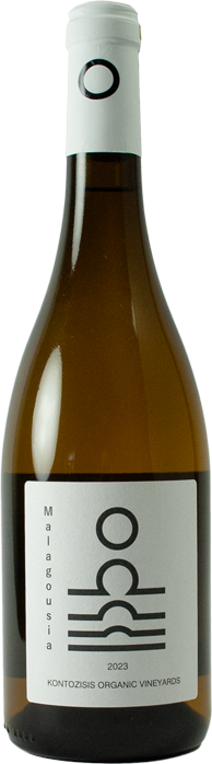 Sun White 2024 - Kontozisis