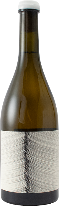 No1 2024 - Terra Apeira