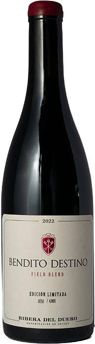Field Blend Red 2022 - Bendito Destino
