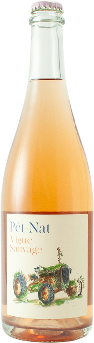 Vigne Sauvage Rose Pet Nat 2024 - Pierre & Antonin