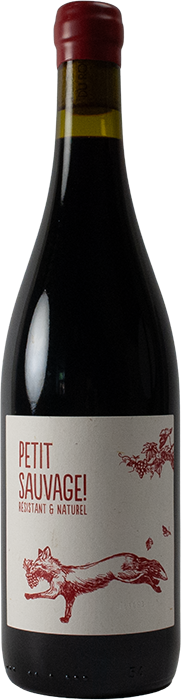 5 + 1 Petit Sauvage Rouge 2024 - Pierre & Antonin