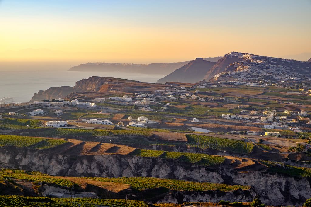 greek wine island vineyard